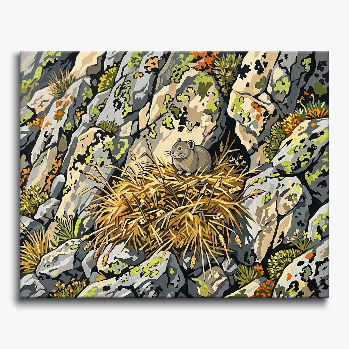 Mountain Mouse