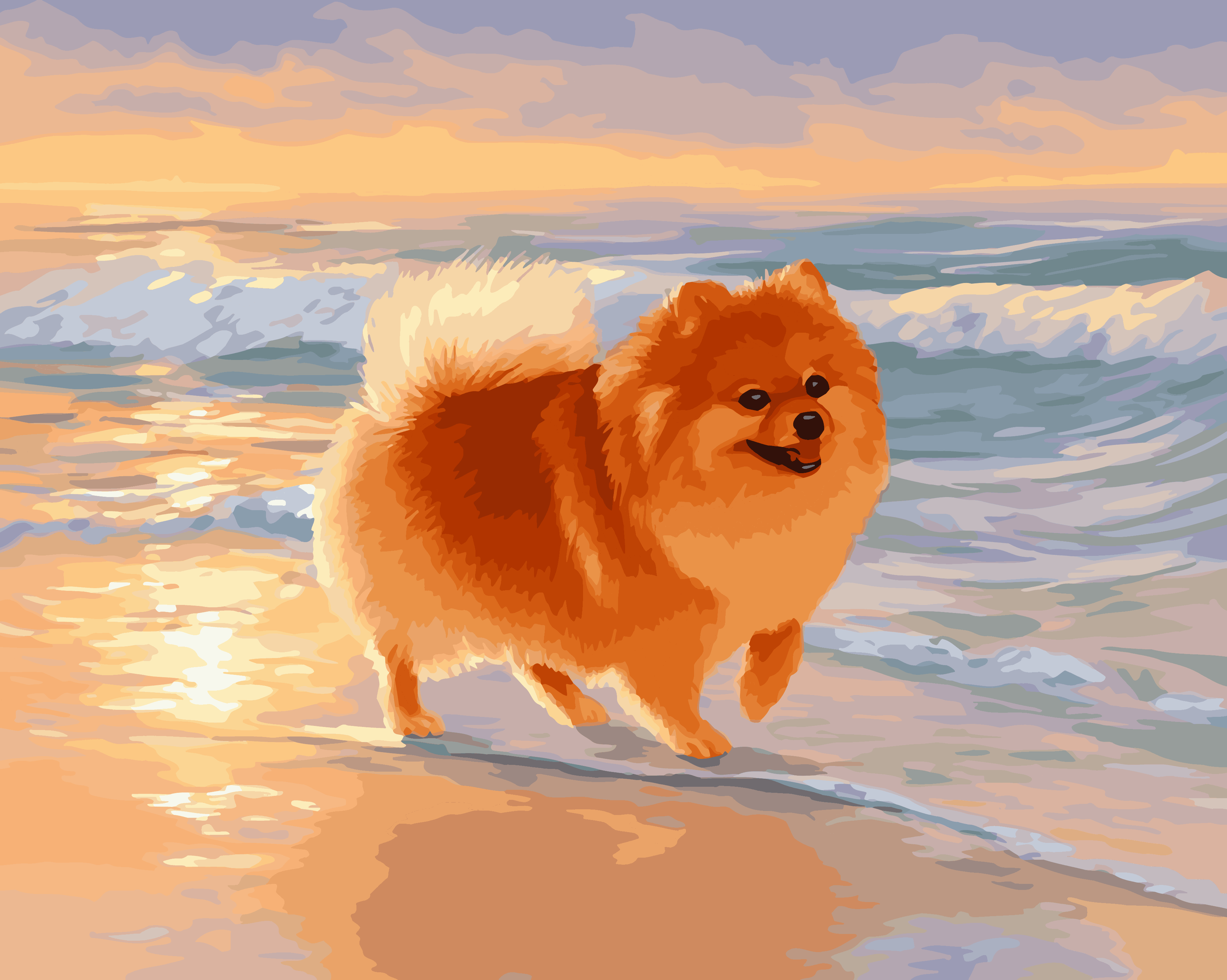 Pomeranian Beach