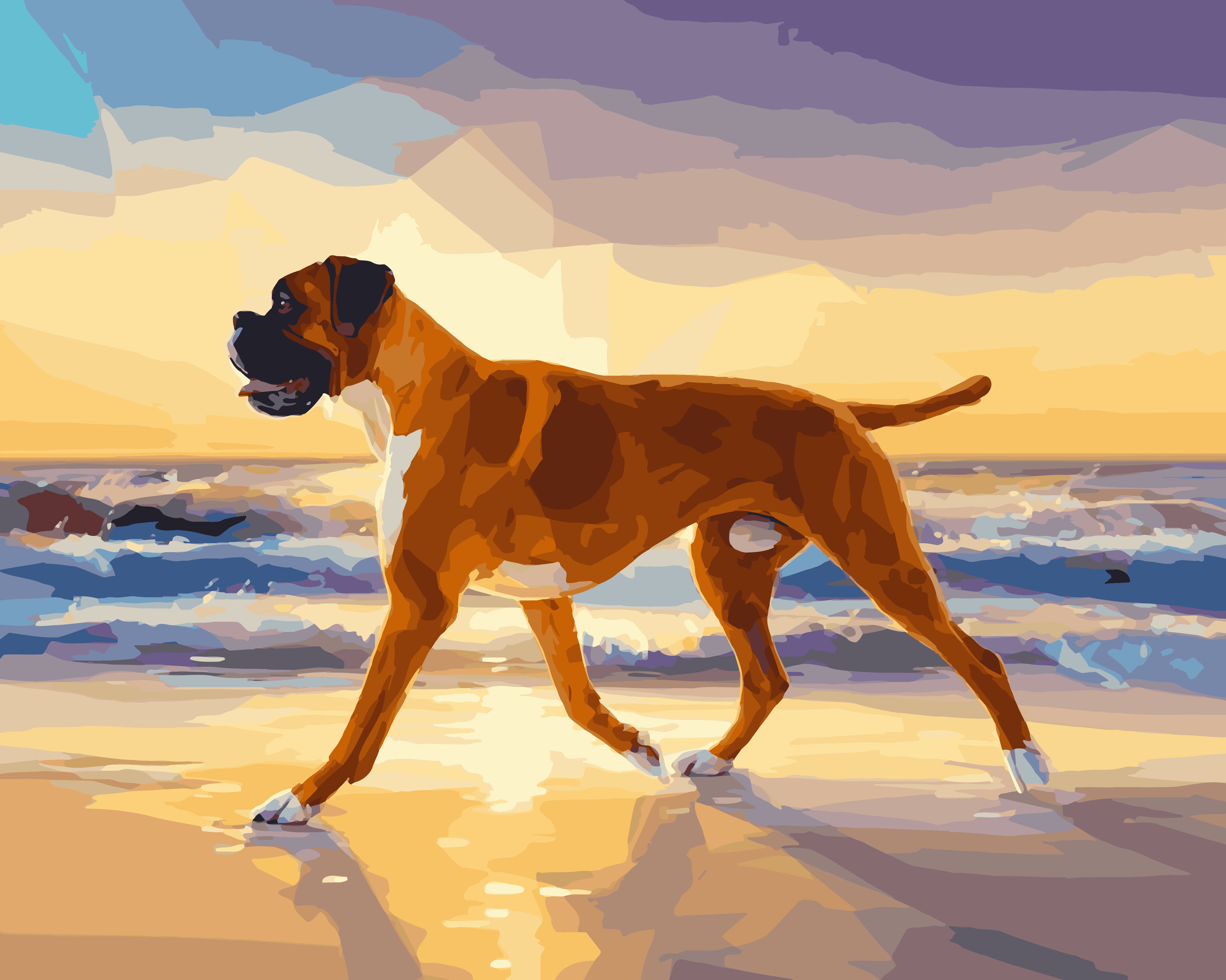 Boxer Beach