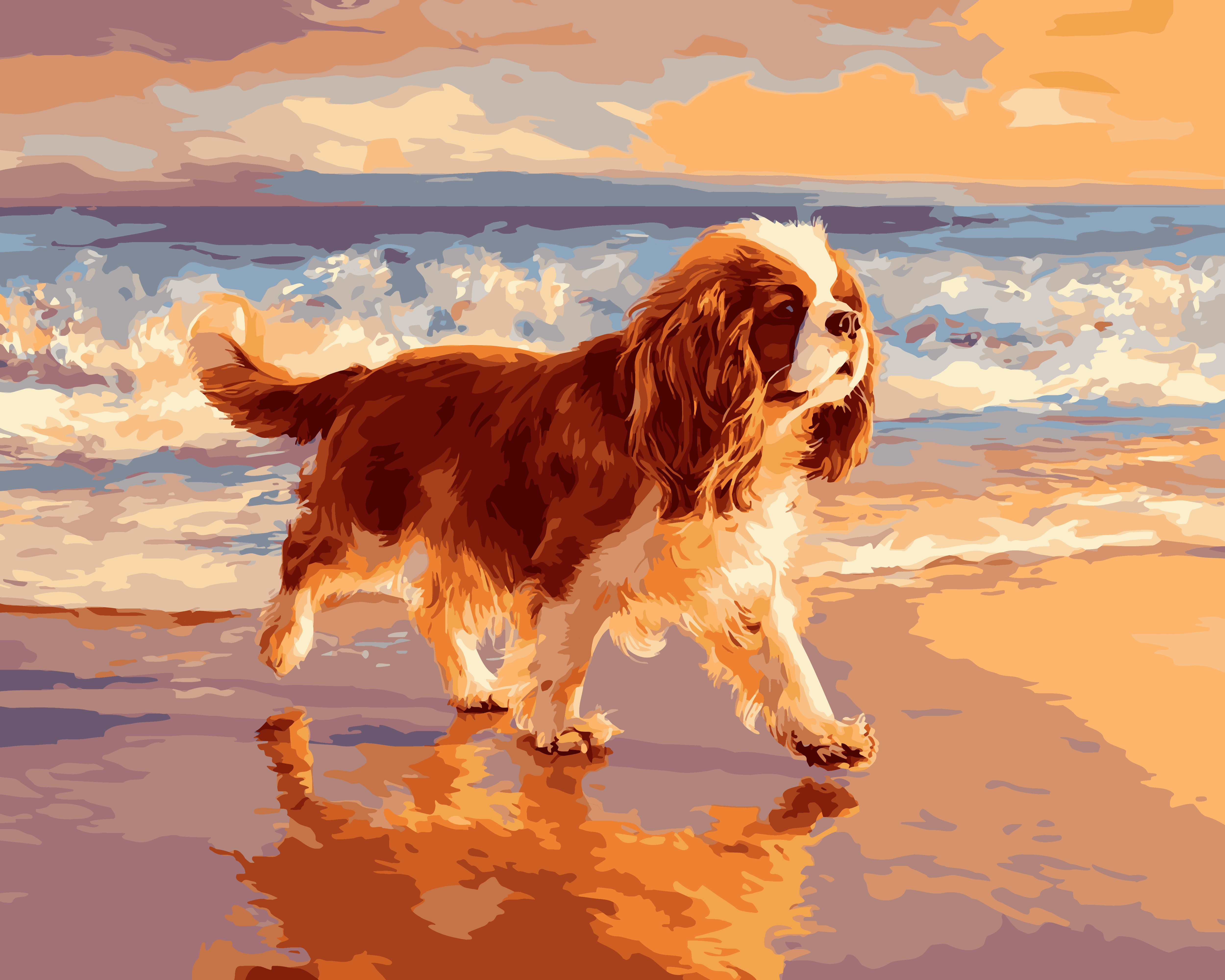 Cavalier King Coastline