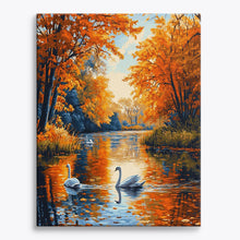 Swans