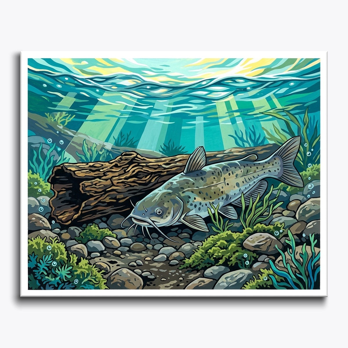 Underwater Scene C75C