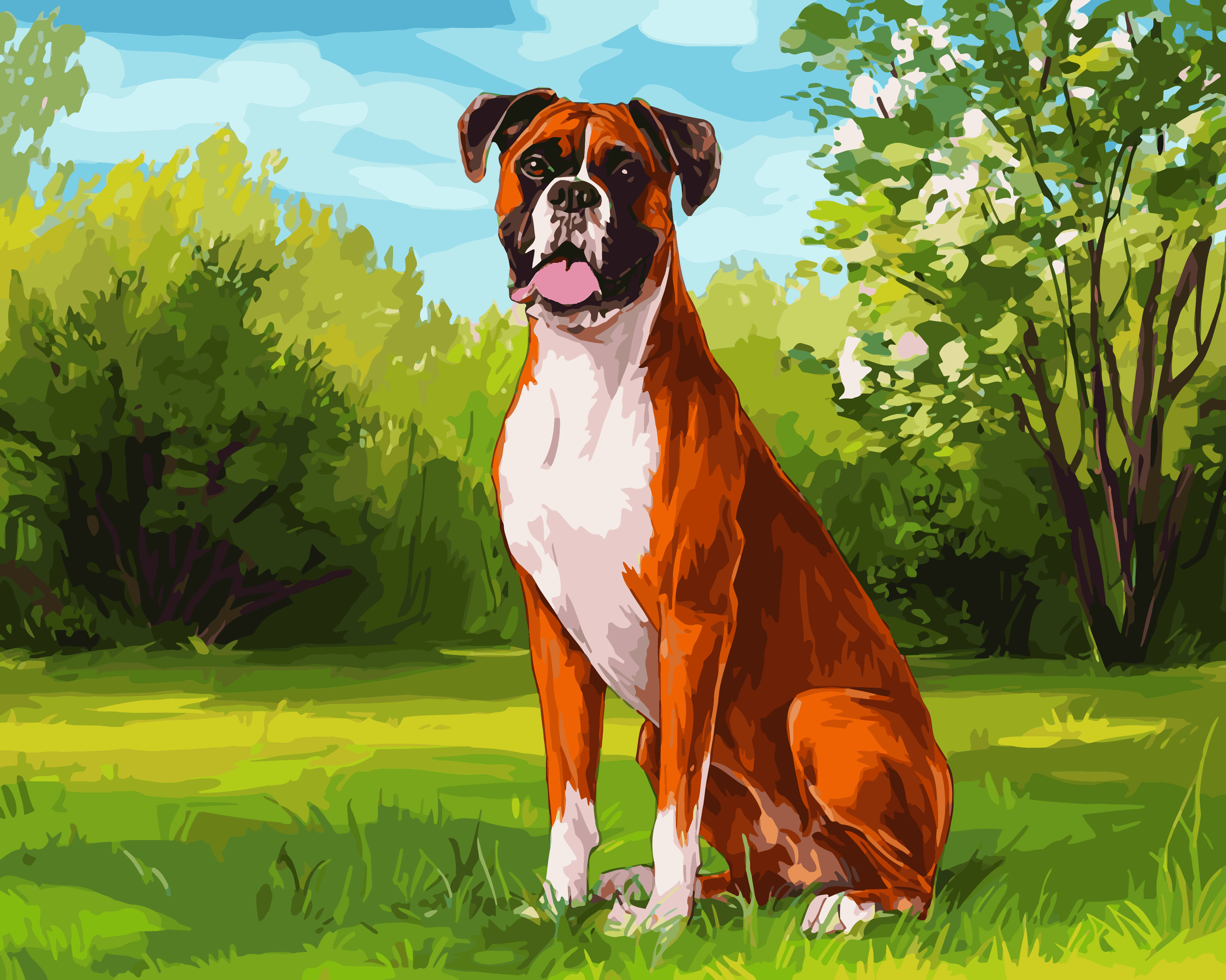 Boxer Bliss