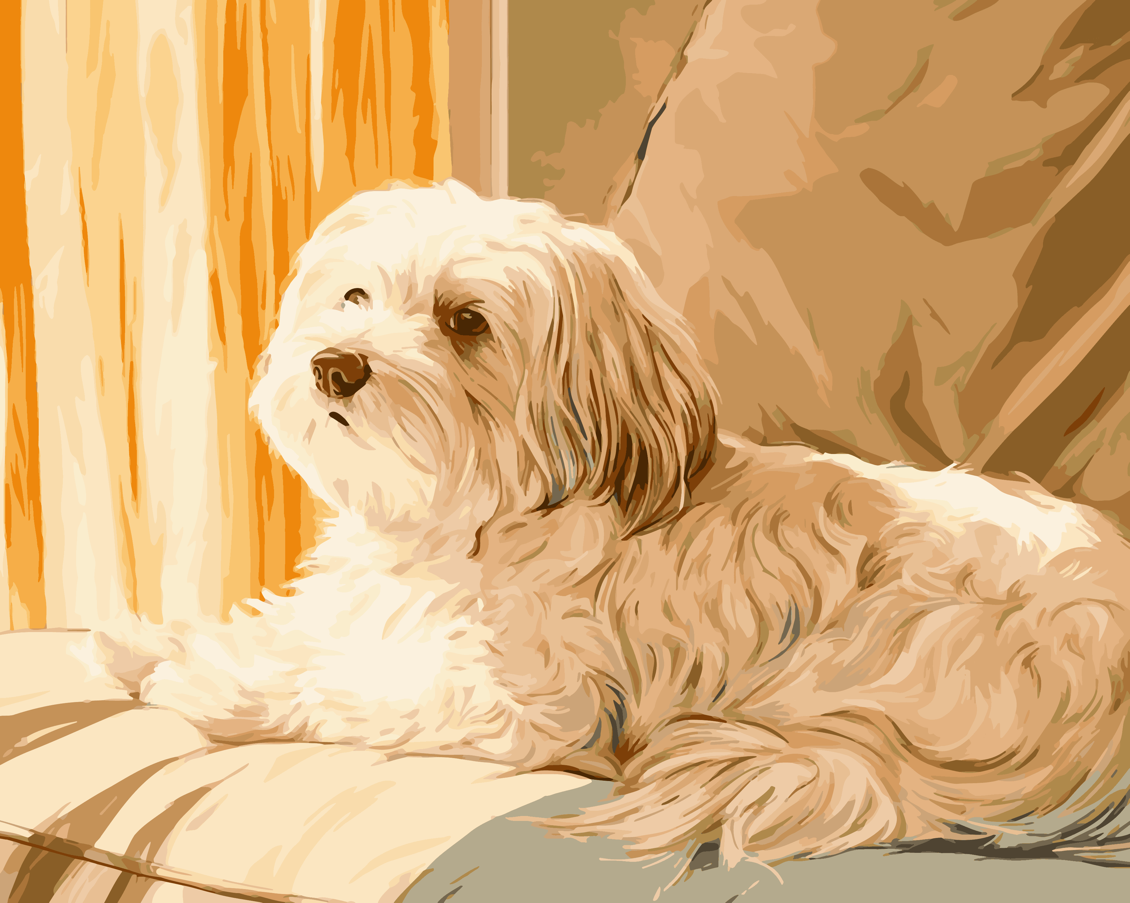 Happy Havanese