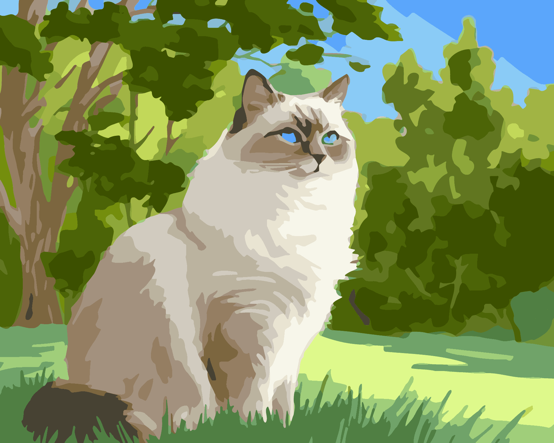 Ragdoll Prairie