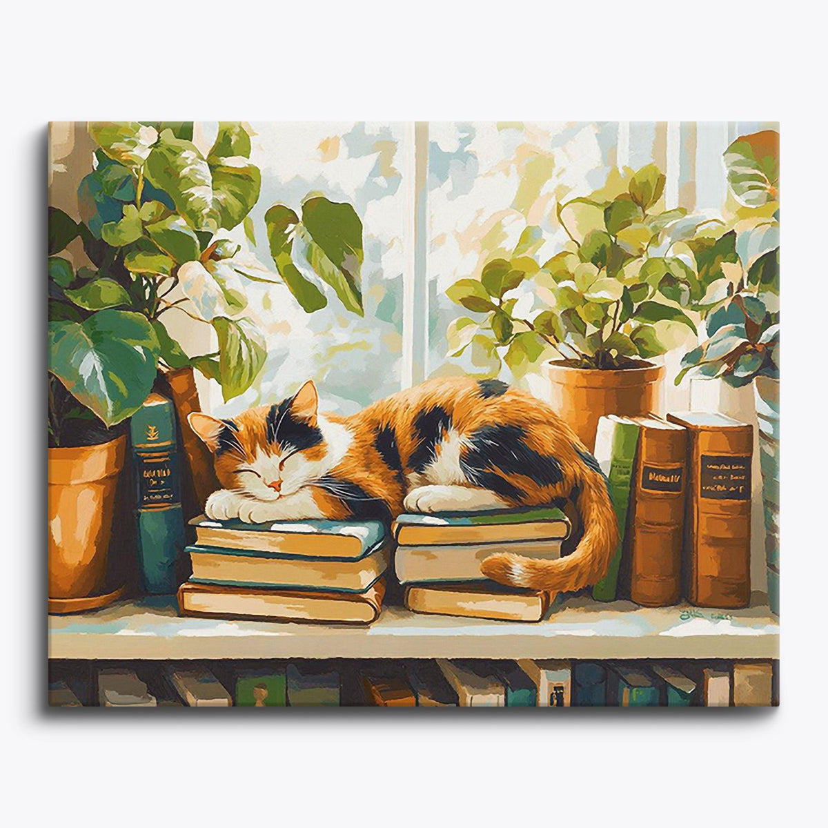 Window Whiskers